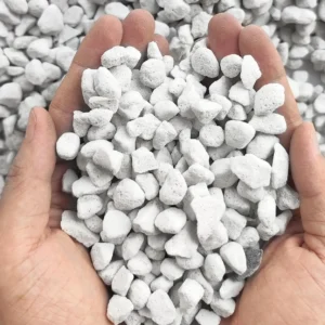 5QT Organic Perlite Mix