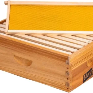 8-Frame Medium Beehive Super