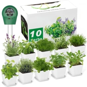 10-Variety Herb Garden Kit